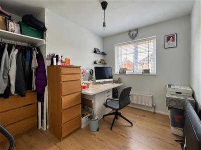 Picture 15